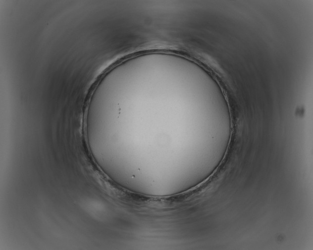X0000092281220200710121357