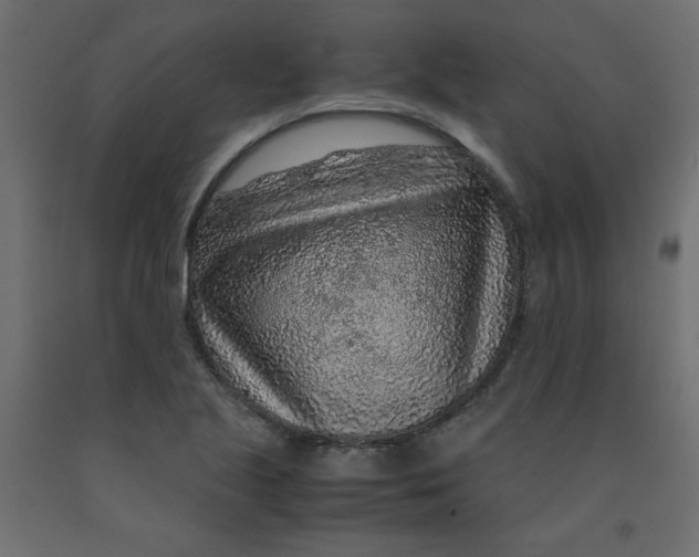 X0000092281221200710121357