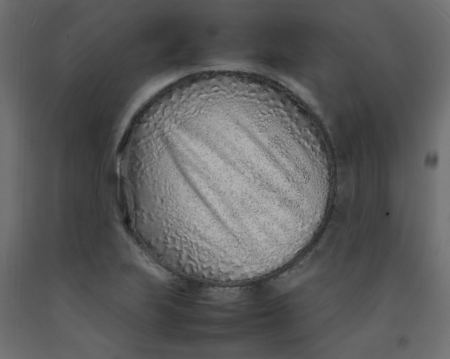 X0000092281223200710121357