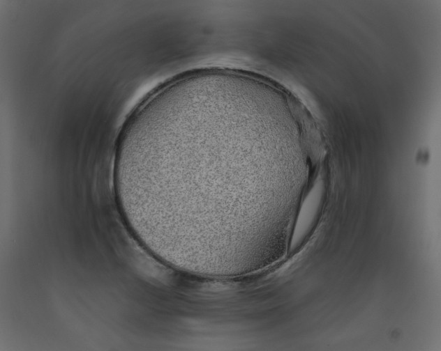 X0000092281224200710121357