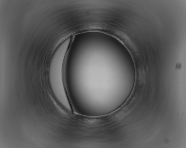 X0000092281225200710121357