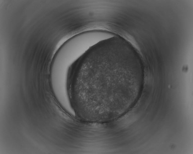 X0000092281226200710121357