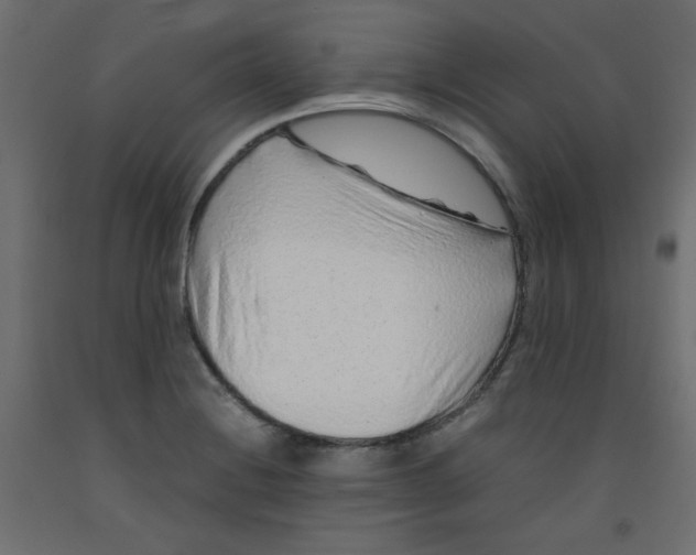 X0000092281228200710121357