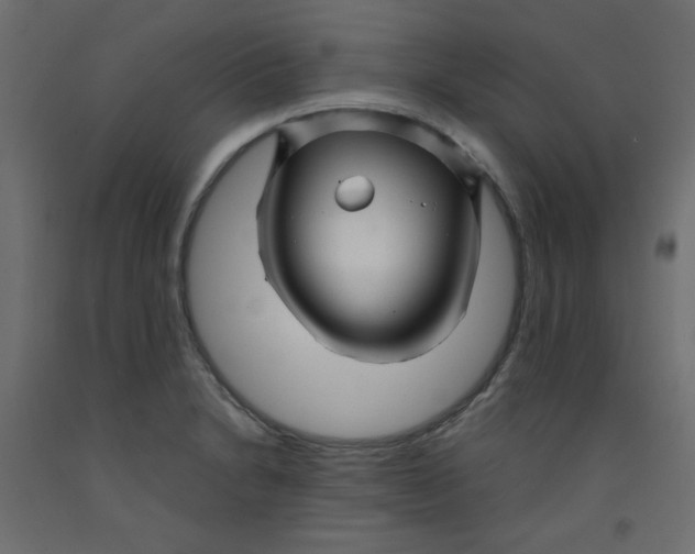 X0000092281230200710121357