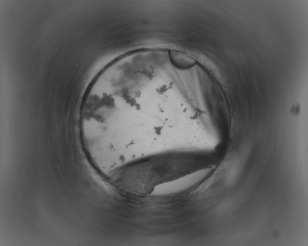 X0000092281231200710121357