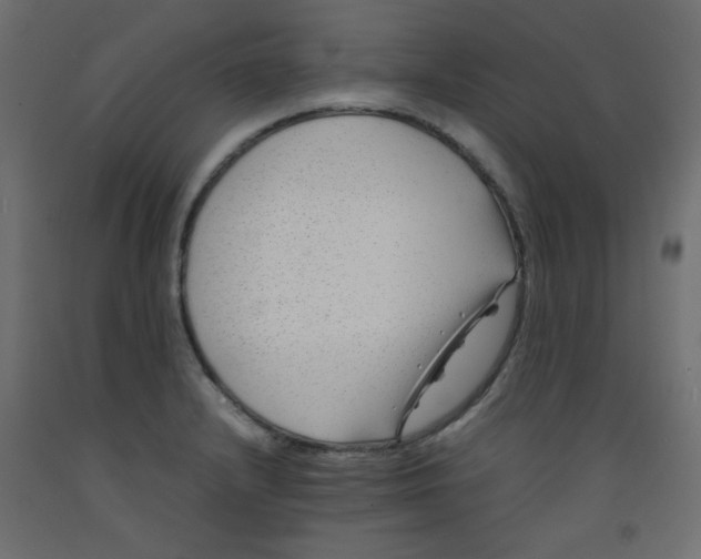 X0000092281232200710121357