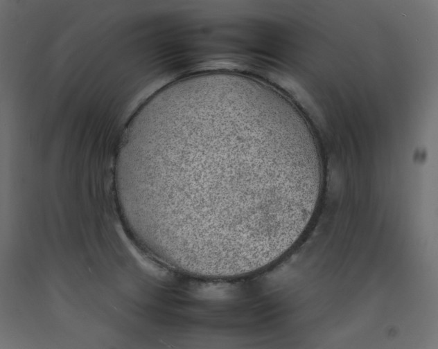 X0000092281233200710121357