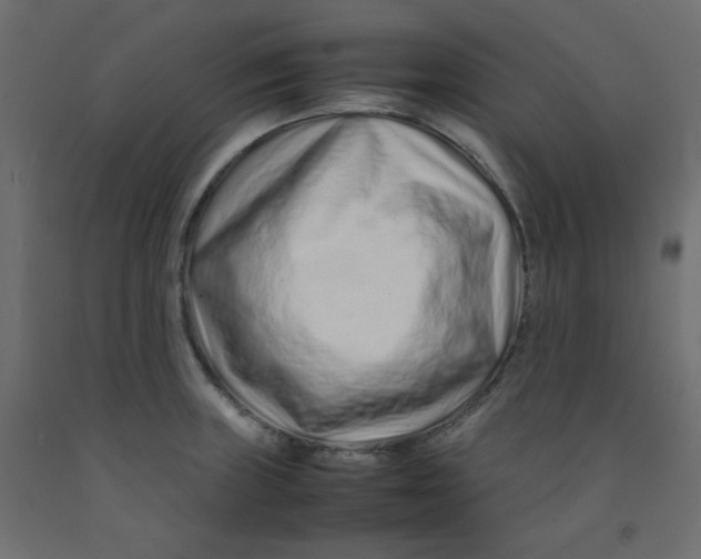 X0000092281235200710121357