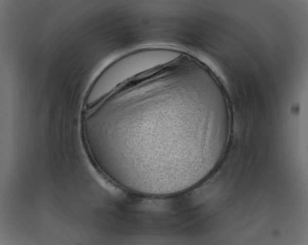 X0000092281237200710121357