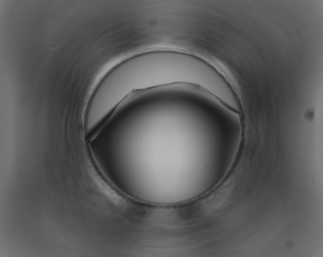 X0000092281238200710121357