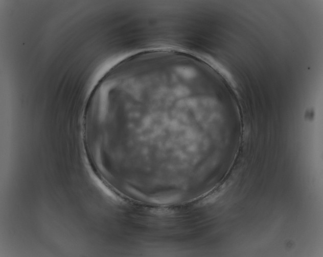 X0000092281239200710121357