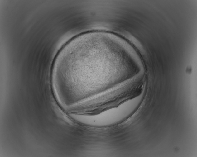 X0000092281240200710121357