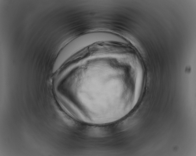 X0000092281241200710121357