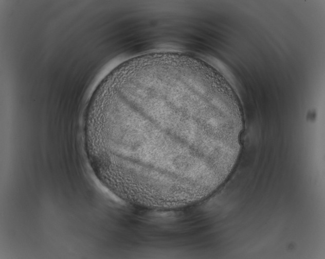 X0000092281243200710121357