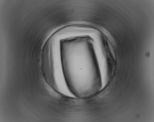 X0000092281244200710121357