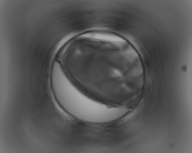 X0000092281245200710121357