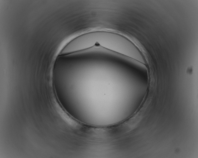 X0000092281246200710121357