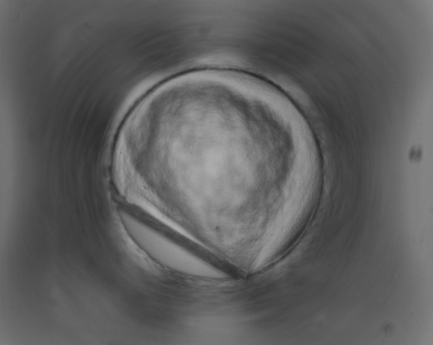 X0000092281248200710121357