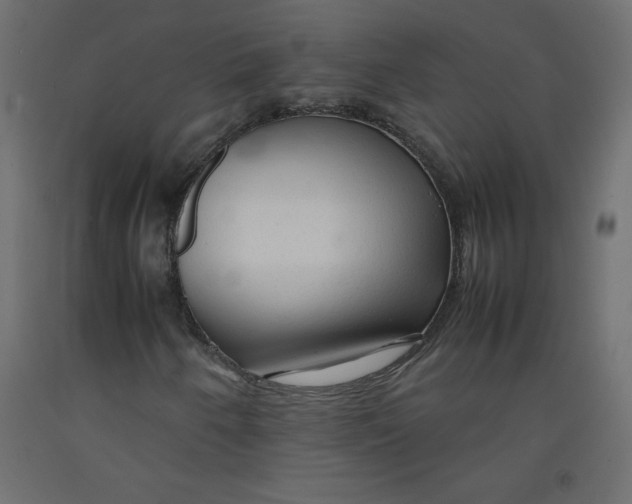 X0000092281250200710121357