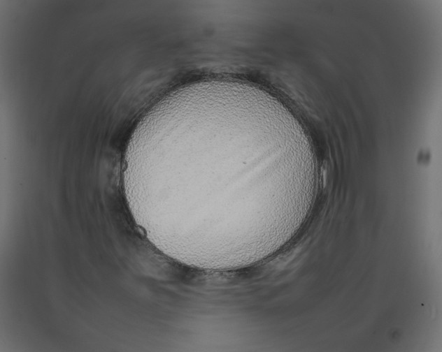X0000092281251200710121357