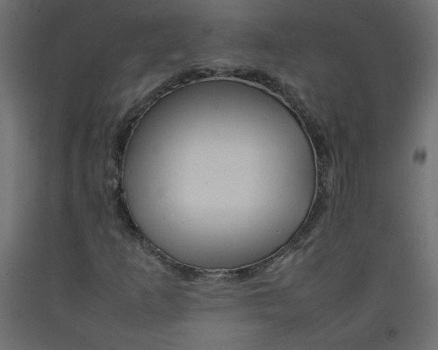 X0000092281253200710121357