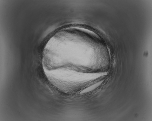 X0000092281255200710121357