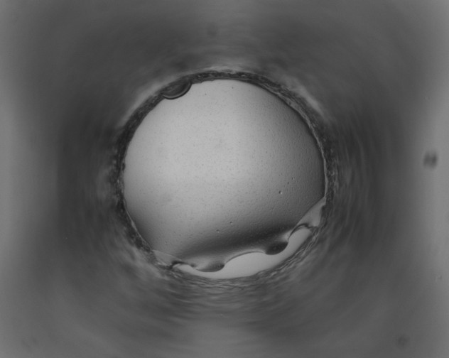 X0000092281256200710121357