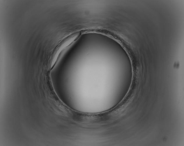 X0000092281257200710121357