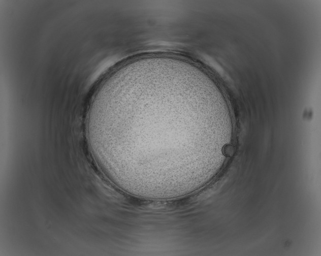 X0000092281259200710121357