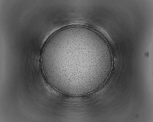 X0000092281260200710121357