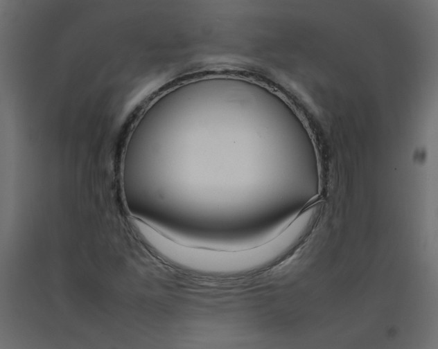 X0000092281261200710121357