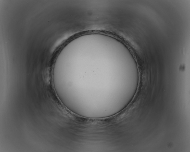 X0000092281262200710121357