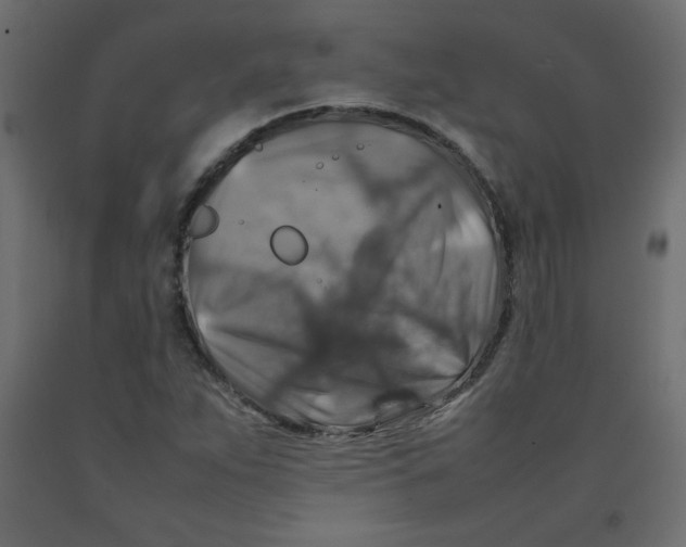 X0000092281263200710121357