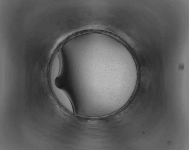 X0000092281264200710121357