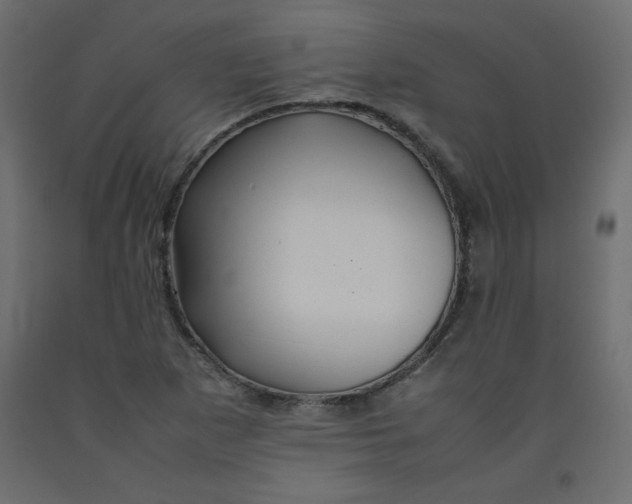 X0000092281265200710121356