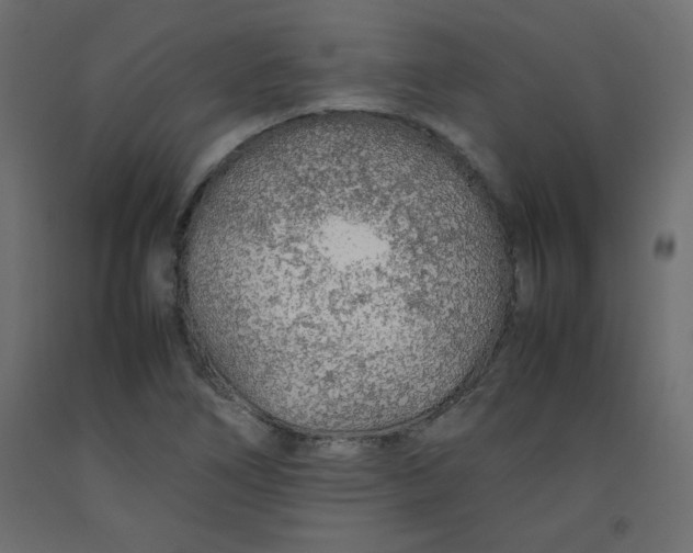 X0000092281266200710121356