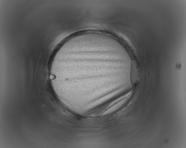X0000092281267200710121356