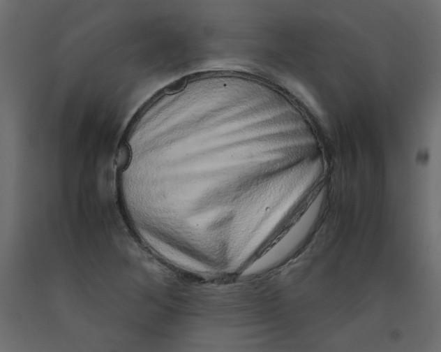 X0000092281268200710121356