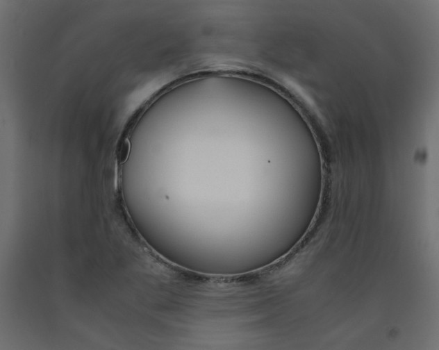 X0000092281269200710121356