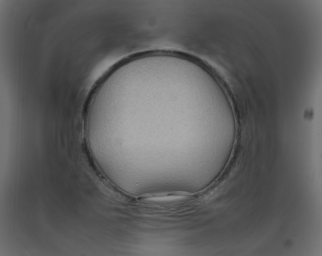 X0000092281271200710121356