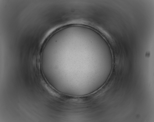 X0000092281272200710121356