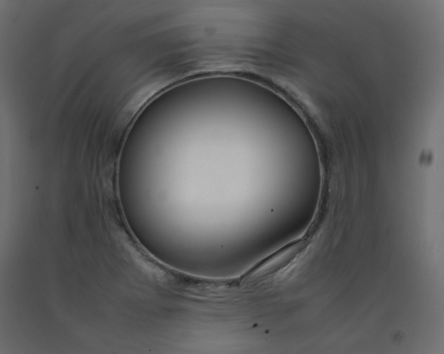 X0000092281273200710121356
