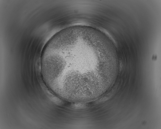 X0000092281274200710121356