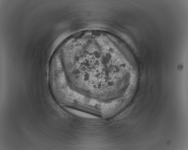 X0000092281275200710121356