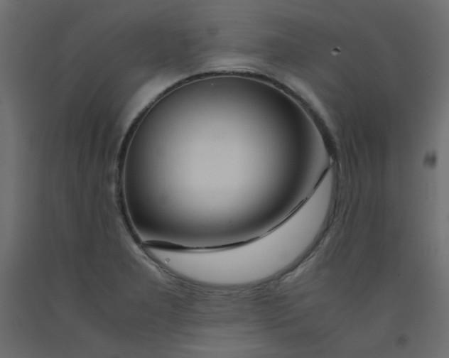X0000092281277200710121356