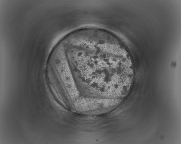 X0000092281279200710121356