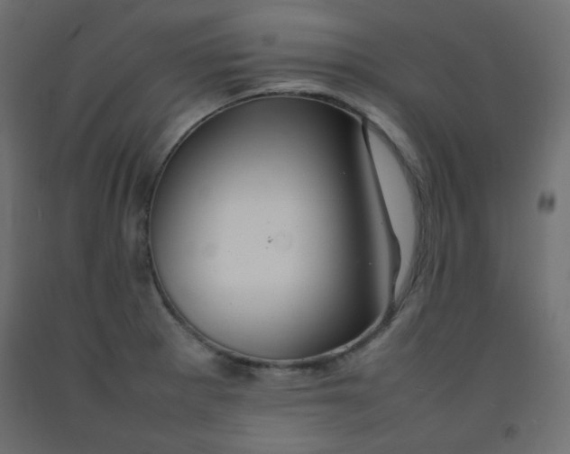 X0000092281281200710121356