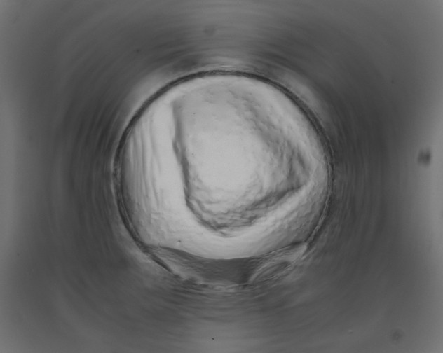 X0000092281283200710121356