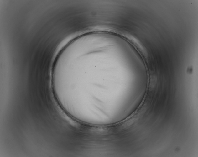 X0000092281286200710121356