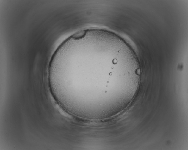 X0000092281287200710121356